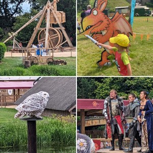 Four images: 1 actor and a horse stood in front of a large wooden trebuchet at Warwick Castle, 2 a young child points a soft sword at a large image of Zog, 3 a large white owl looks towards the camera, 4 three actors from the war of the roses live show at warwick castle