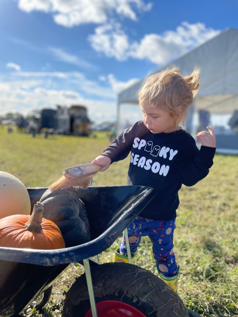 Top 10 Reasons to go Pumpkin Picking this Halloween