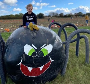 A toddler sits on top of a hay bale made to look like a giant spider at a pumpkin patch